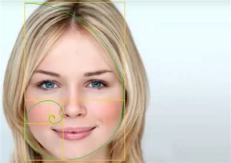 Facial Features Golden Ratio Freeware