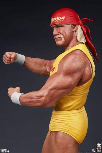 Wwe Wrestling Hulk Hogan Hulkamania Figurky A Sošky Fate Gate