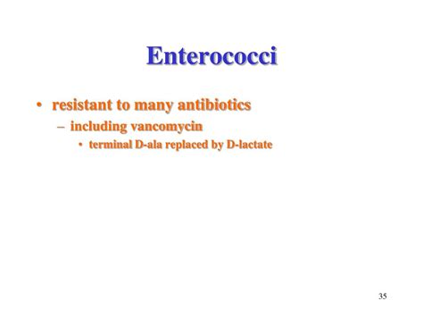 Ppt Streptococci Gram Positive Cocci Lecture 45 Powerpoint Presentation Id 524591