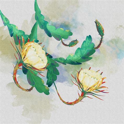 Epiphyllum Hoa Quynh Flower Free Image On Pixabay