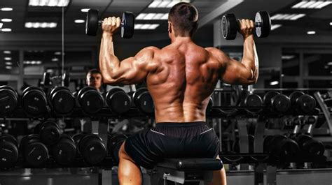 Top 15 Full Shoulder Workouts Or Exercises In Gym