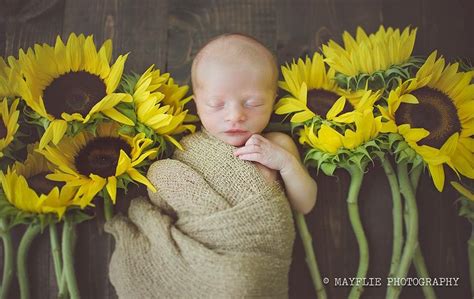 Mayflie Photography Newborn Sunflowers Fall Newborn Session