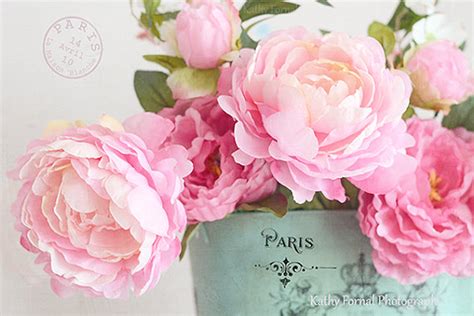 Pink Peonies Photography Dreamy Pink Peonies Floral Print
