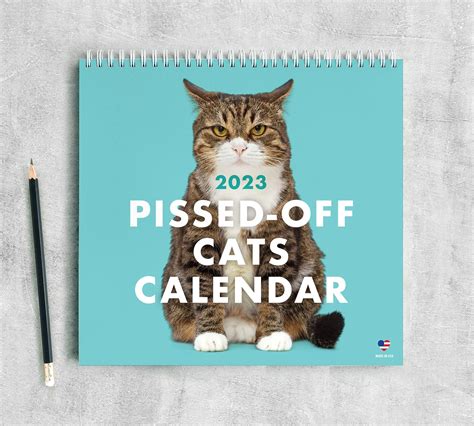 Wall Funny Calendar 2023