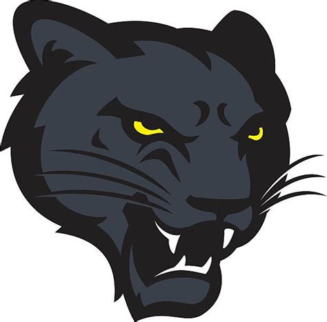 Black Panther Head Mascot Design Vector Art Illustration Panther Logo