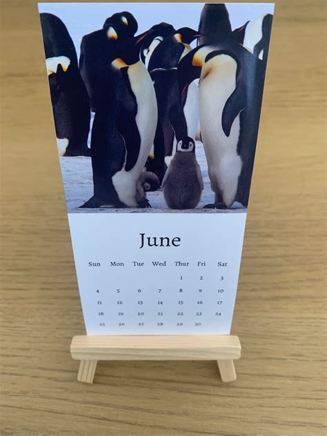 Penguin Calendar 2024 Mini Desk Calendar Penguin Calendar Etsy