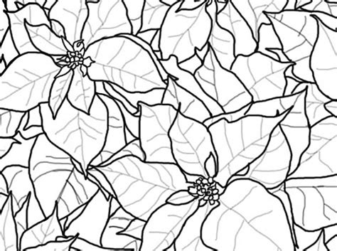 Imagenes de flores de navidad para colorear Blad