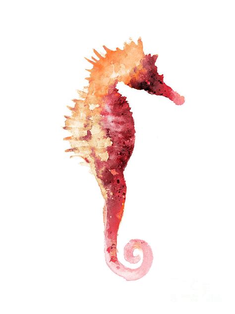 Coral Seahorse Watercolor Painting Painting By Joanna Szmerdt Fine