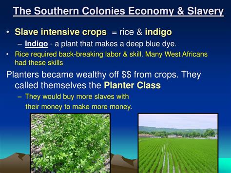 Ppt Chapter 4 The Colonies Develop Powerpoint Presentation Free