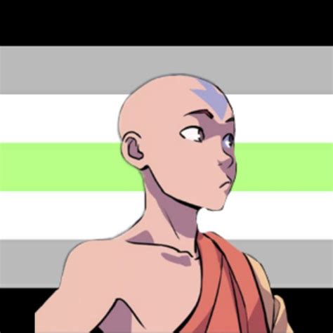 Agender Pfp Aang Flag Icon Avatar The Last Airbender Profile Picture