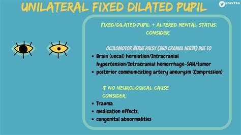 Unilateral Fixed Dilated Pupil Differential Diagnosis GrepMed
