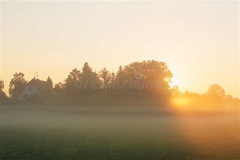 Foggy Meadow Sunrise Stock Image Image Of Field Fall 132251025