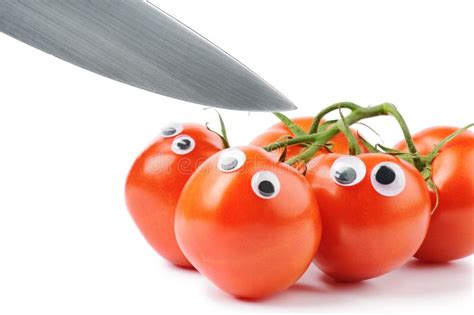 Funny Tomatoes With Googly Eyes Royalty Free Stock Images Image 25109749