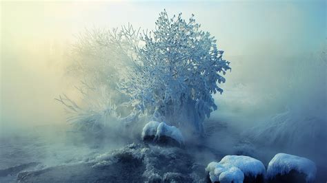 Hintergrundbilder Sonnenlicht Landschaft Natur Schnee Winter Eis
