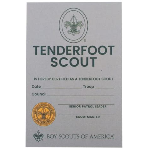Tenderfoot Rank Pocket Certificate Bsa Cac Scout Shop