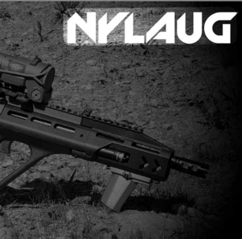 Nylaug The 3d Printed Aug Guncad Evolved