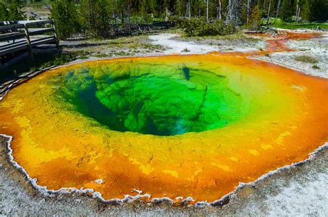Everyday Postcard From Yellowstone National Park