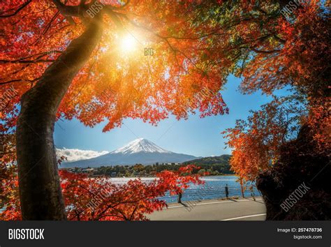 Mount Fuji Autumn Image And Photo Free Trial Bigstock