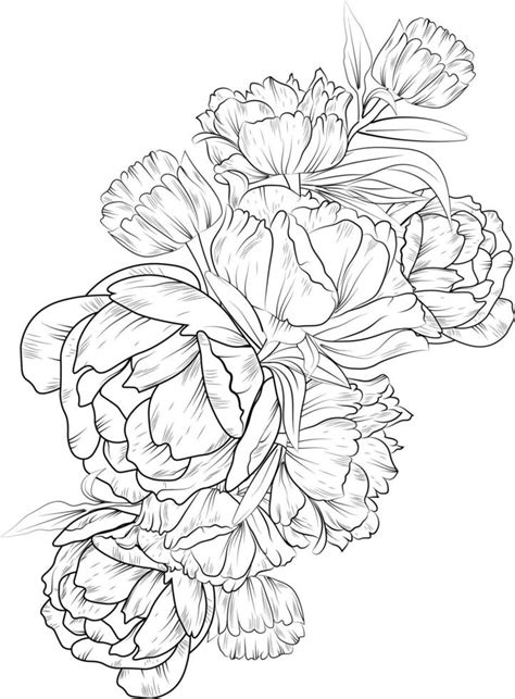 Peony Flower Drawing Hand Drawn Peony Flower Bouquet Vector Sketch