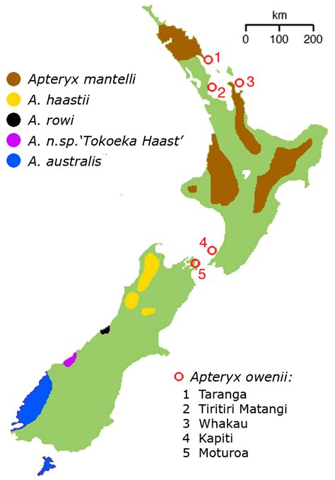 New zealand is an island country in the southwestern pacific ocean. Yeni Zelanda Haritası ve Yeni Zelanda Uydu Görüntüleri