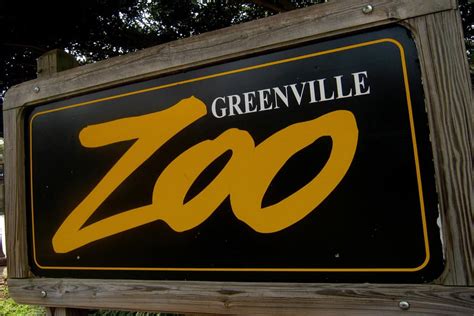 Greenville Zoo Adds Animals To New Exhibit Greenville Journal