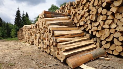 Komunikat PIGPD: Drewno na cele energetyczne, ceny drewna na PL-D ...