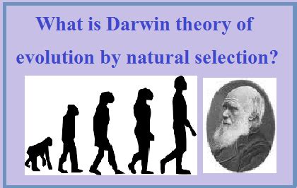 Her research could now be used to predict which species. Charles Darwin: Theory of Evolution and Natural selection