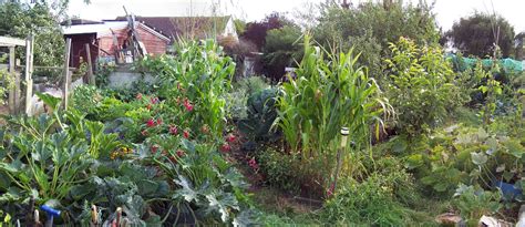 Permaculture Garden Panoramas Permaculture