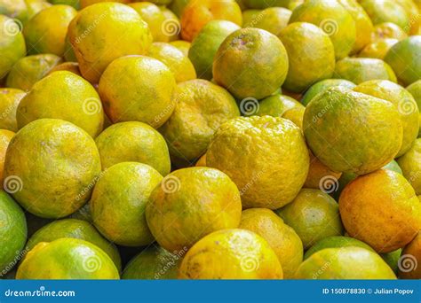 Bunch Of Fresh Mandarin Oranges Stack Of Mandarins Stock Photo Image