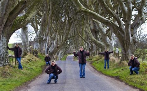 Amazing Tree Tunnel In The Northern Ireland 18 Pics