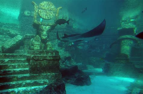 An Ancient Civilization Discovered Beneath The Sea Underwater City