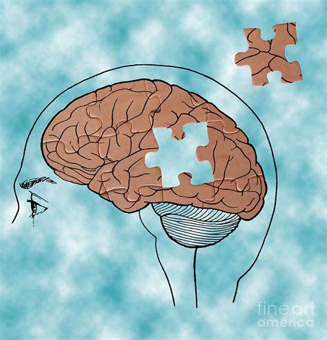 Brain Puzzle Illustration Photograph By Mary Martin