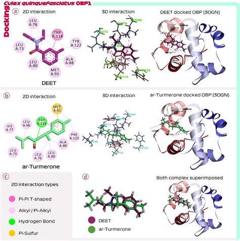 Molecular Docking Of A Deet And B Ar Turmerone With Obp Ogn Of