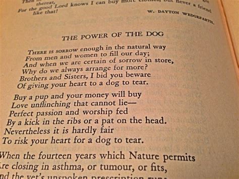 The Power Of The Dog Critique Telerama - 😂 The power of the dog poem. The Power of the Dog Analysis Rudyard