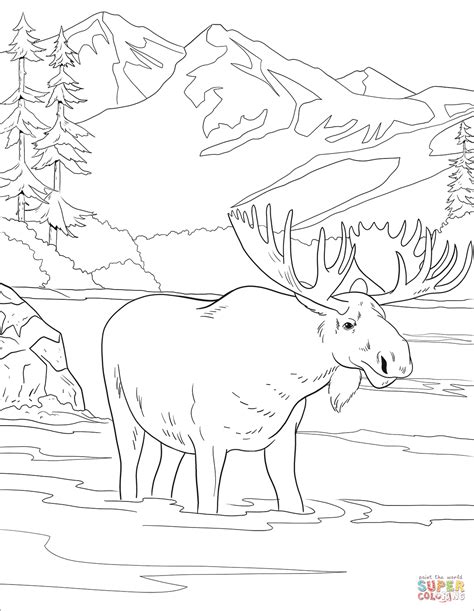 Moose Coloring Page Free Printable Coloring Pages