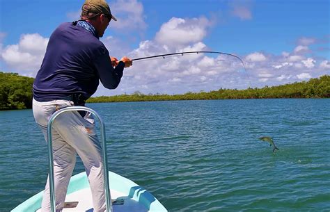 Guide To Fly Fishing In Belize
