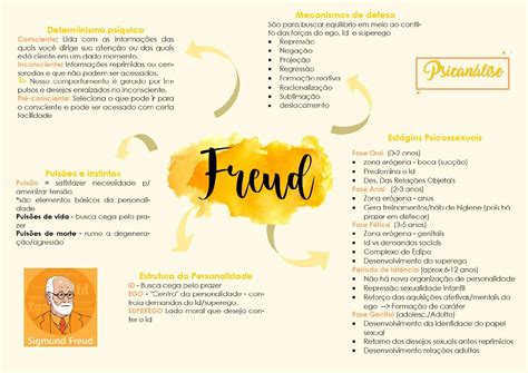 Partes Da Teoria Da Personalidade De Freud