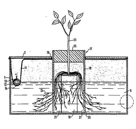 Hydroponic System Drawing Tutorial Hidroponik