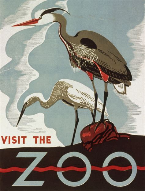 Vintage Zoo Poster Free Stock Photo Public Domain Pictures