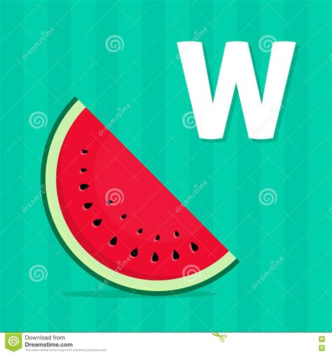 Alphabet Letters Learning Card with Letter W for Kids Stock Vector