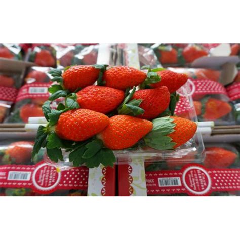 Strawberry Korea Fresh 250gram Shopee Indonesia