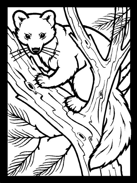 More 100 images of different animals for children's creativity. template | Coloring pages nature, Animal coloring pages ...