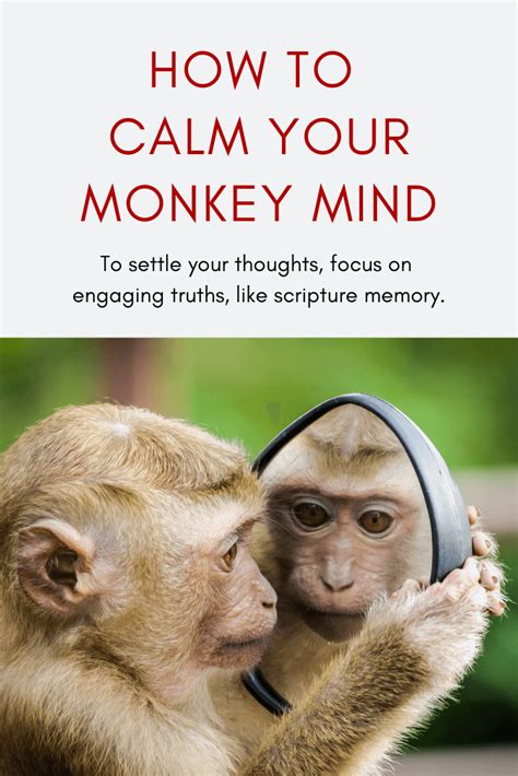 How To Calm Your Monkey Mind Monkey Mind Mindfulness Anxiety Resources