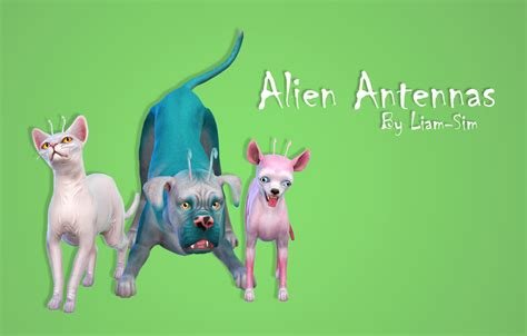Liam Sim Alien Antennas Get Your Pets From Ts4 Pets Cc Finds