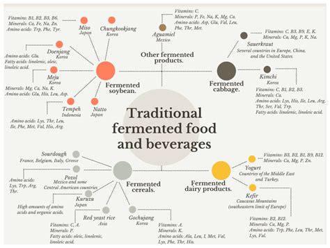 fermentation free full text nutritional contributions and health associations of traditional