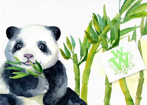 Watercolor Baby Panda Bear Clipart Bamboo Cute Animal Art