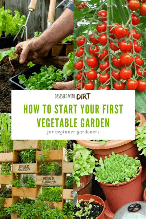 Vegetable Gardening For Beginners How To Plan Your First
