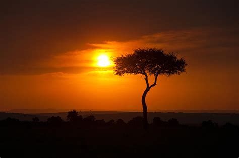 Safari Sunset Photograph By Francois Gagnon
