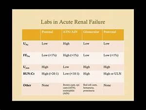 Renal Labs Renal Acute Renal Failure Renal Failure