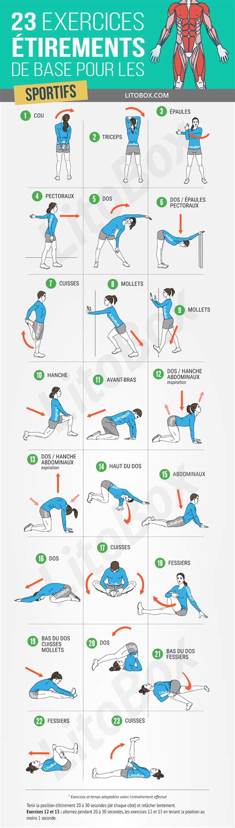 23 exercices d étirement de base pour les sportifs Exercice